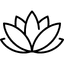 Ayurveda